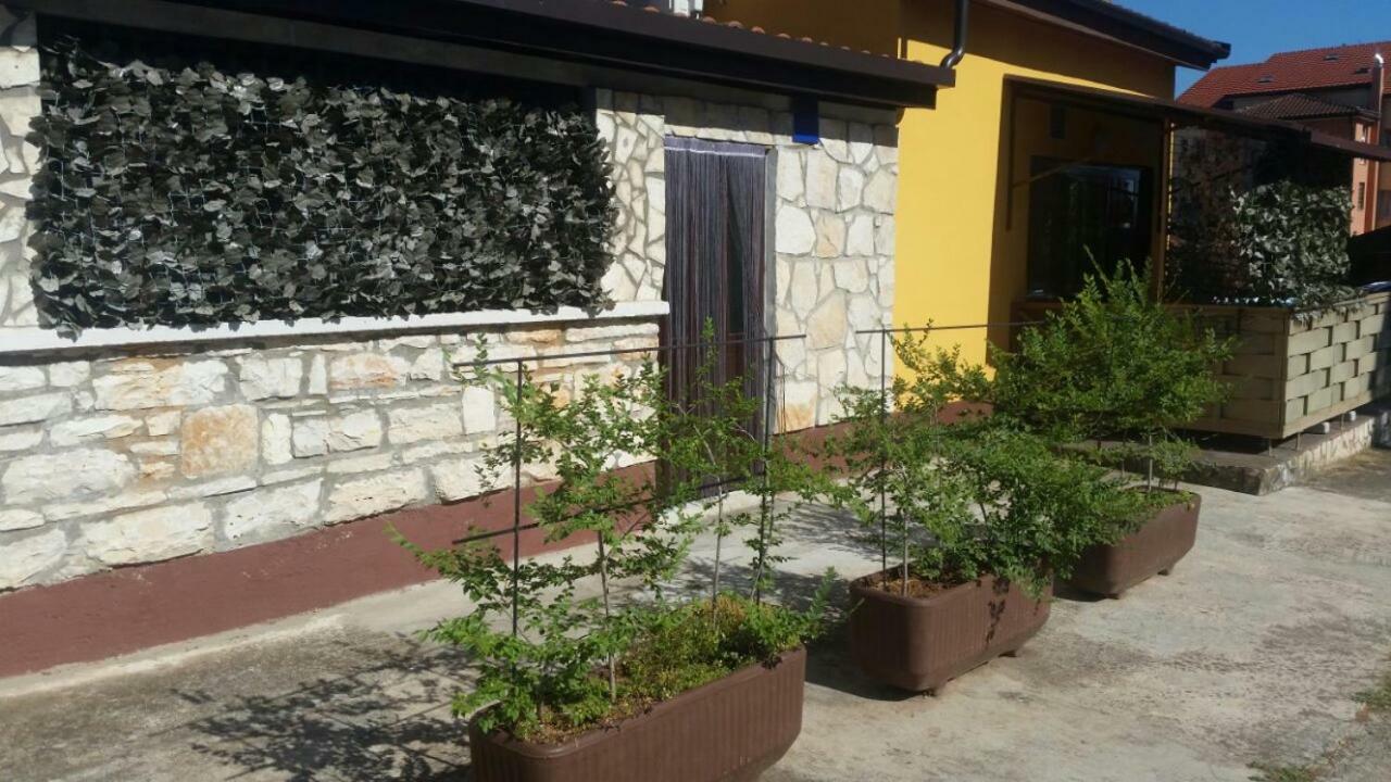 Apartments Ingrid Novigrad Istria Exterior foto